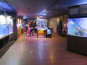 伊勢夫婦岩ふれあい水族館シーパラダイス ふれあい魚館