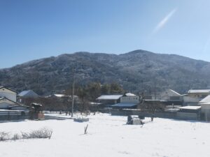 秩父鉄道線 皆野駅付近 今日は雪深い日でした