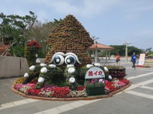 国営沖縄記念公園 海洋博公園 中央ゲート先 花イカ