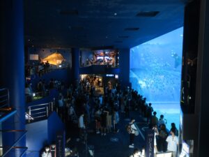 国営沖縄記念公園 海洋博公園 沖縄美ら海水族館 大水槽 たくさんの人がいます