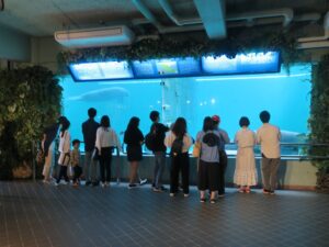 国営沖縄記念公園 海洋博公園 沖縄美ら海水族館 マナティー館 館内