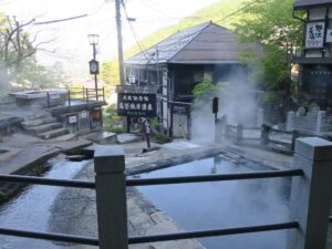 野沢温泉 麻釜熱湯湧泉 上から撮影
