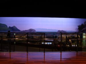 新潟市水族館 マリンピア日本海 日本海エリア