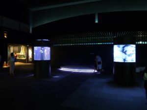 新潟市水族館 マリンピア日本海 マリンピアホール