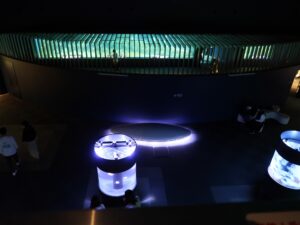 新潟市水族館 マリンピア日本海 マリンピアホールと大水槽を上から撮影