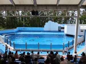 新潟市水族館 マリンピア日本海 ドルフィンスタジアム