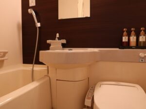 ドーミーイン新潟 ダブルルーム バスルーム