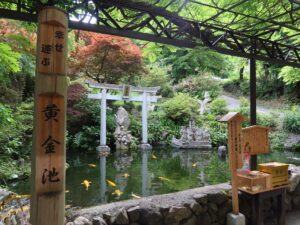 昇仙峡ロープウェイ 仙が滝駅 黄金池 金色の鯉がいます
