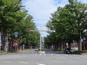 JR両毛線 前橋駅 北口から伸びるけやき通り