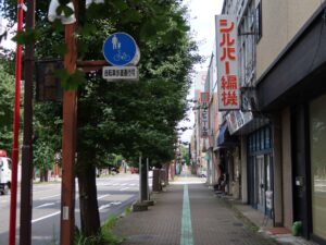 群馬県前橋市のメインストリート けやき通り 上毛電鉄の中央前橋駅の近くで撮影