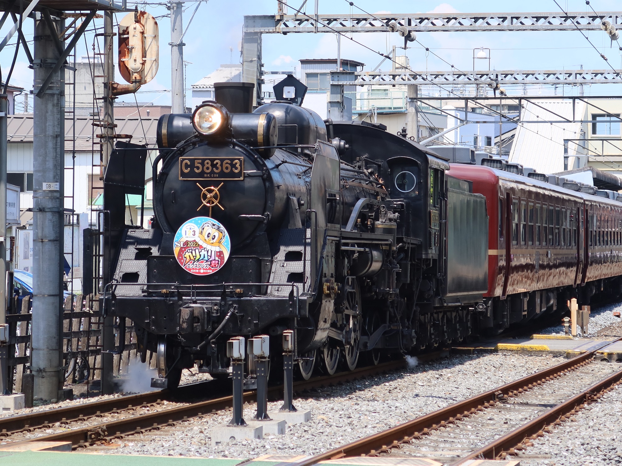 秩父鉄道 C58 363 SLパレオエクスプレス 全体 御花畑駅にて