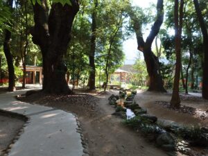 生田神社 生田の森