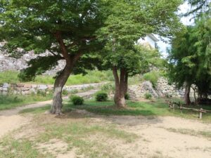 兵庫県立明石公園 明石城跡 坤櫓下の坂道