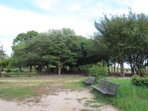 兵庫県立明石公園 明石城址 東ノ丸