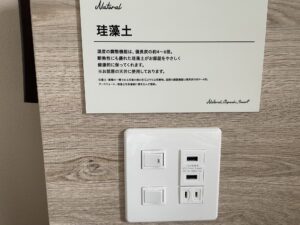 スーパーホテル 東京・浜松町 スタンダードルーム 枕元の照明のスイッチとUSBポート、ACコンセント
