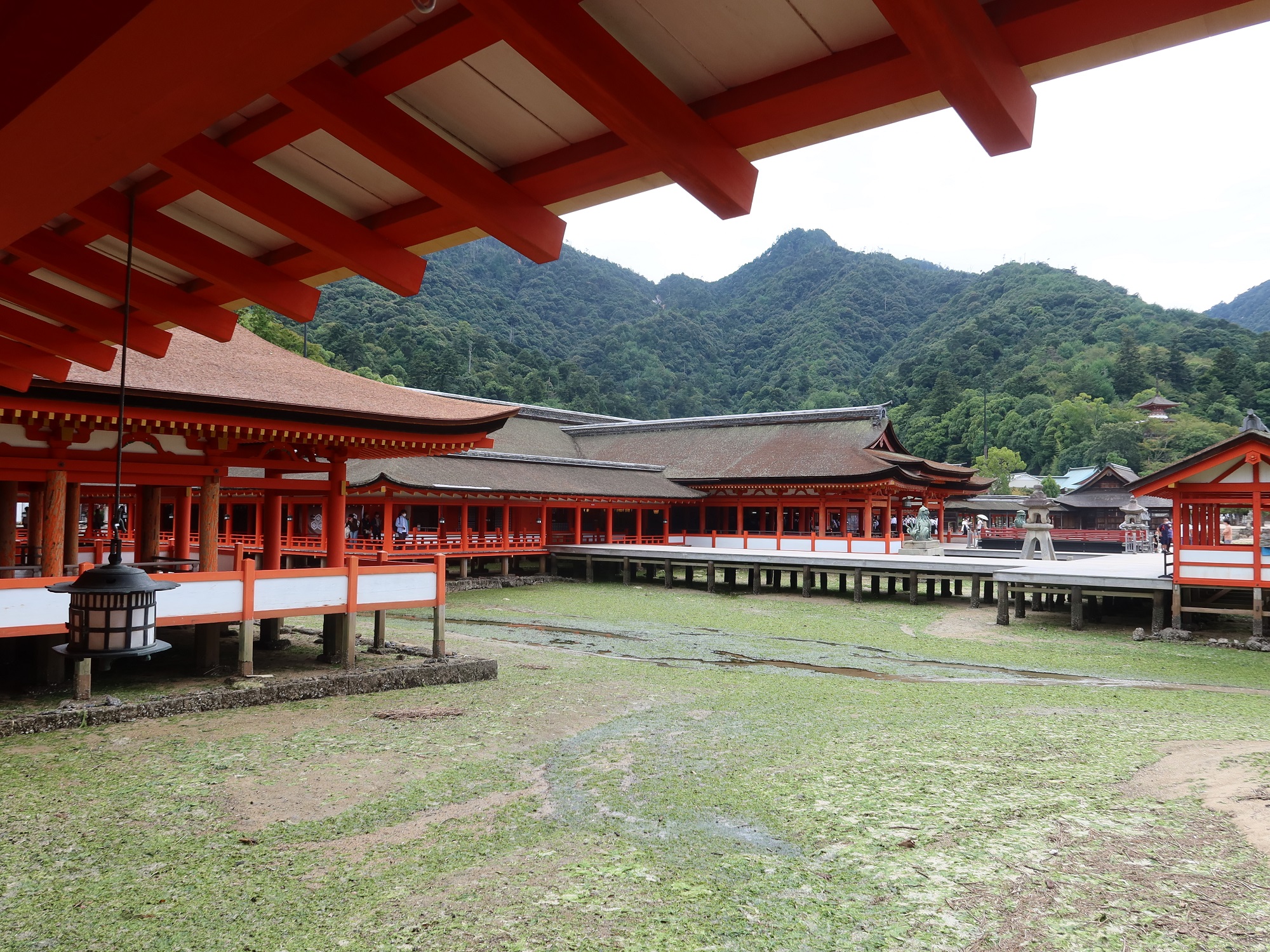 宮島
