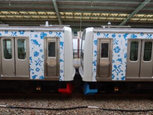 伊豆急行線 3000系 アロハ電車 連結部 伊豆急下田駅にて