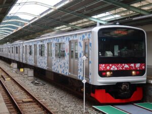 伊豆急行線 3000系 アロハ電車 前面 伊豆急下田駅にて