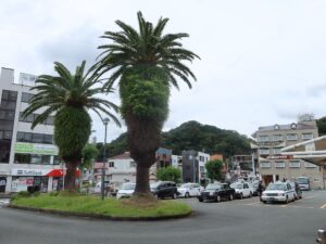 伊豆急行線 伊豆急下田駅 タクシー乗り場