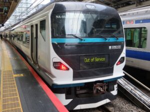 JR伊東線 E257系 前面 東京駅にて撮影