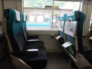 JR東海道線 E257系 普通車 シート側面 伊豆急下田駅にて撮影