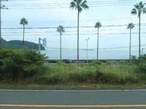 JR伊東線 特急踊り子からの車窓 海沿いのヤシの木