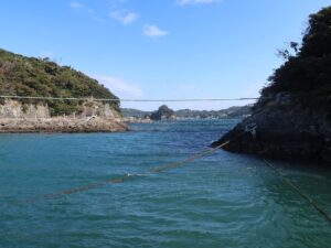 伊豆 下田海中水族館 桟橋から見た入り江