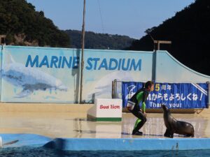 伊豆 下田海中水族館 マリンスタジアム アシカショー