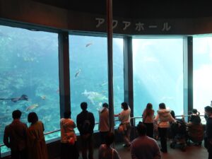 伊豆 下田海中水族館 アクアホール
