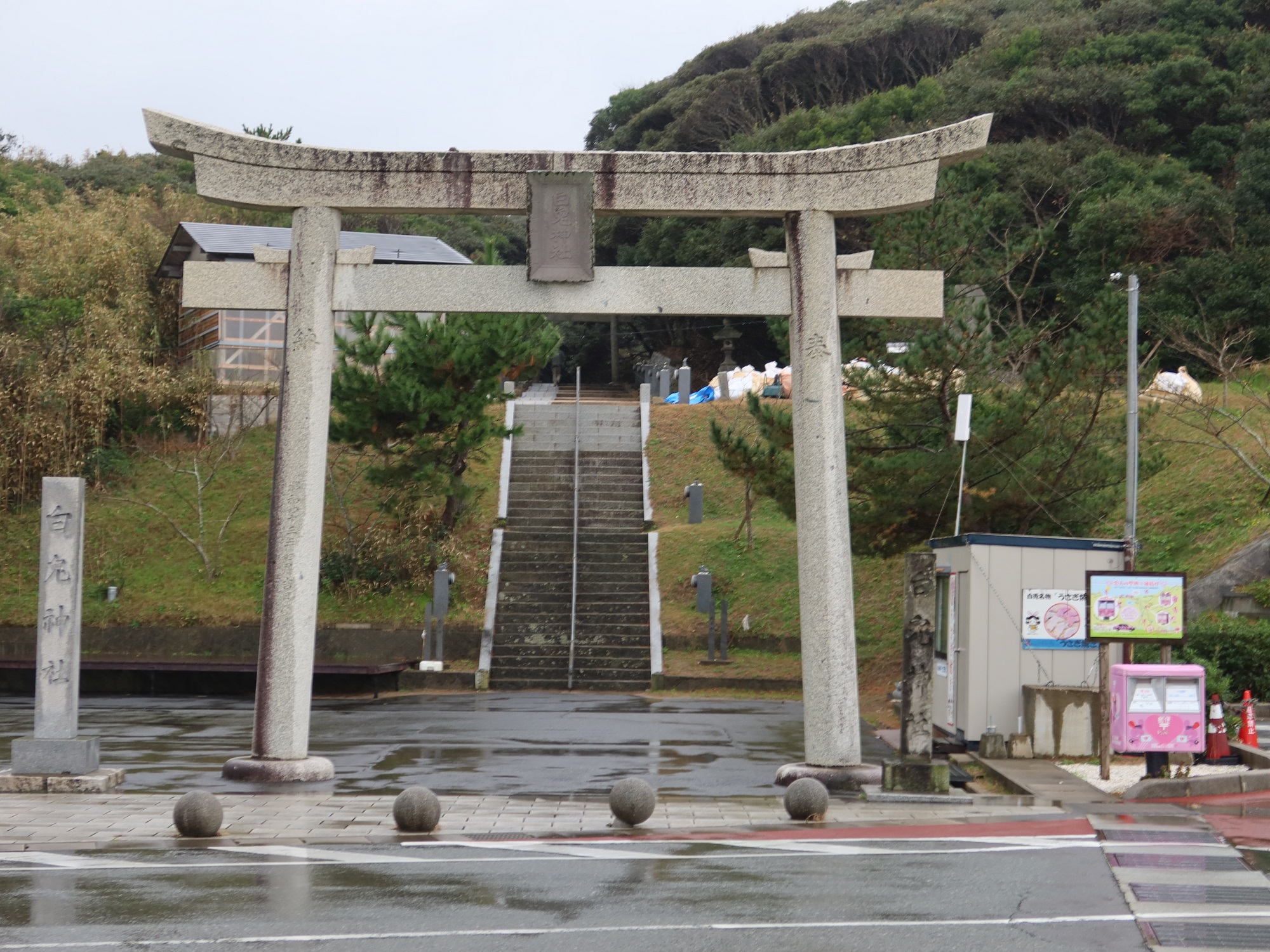 鳥取 白兎神社 鳥居