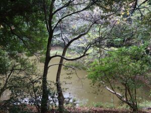 鳥取 白兎神社 御身洗池