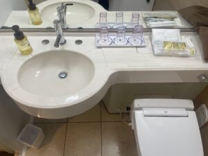 ホテルマイステイズプレミア浜松町 コンフォートキングルーム バスルーム 洗面台