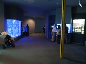 いおワールド かごしま水族館 2階 南国諸島の海エリア