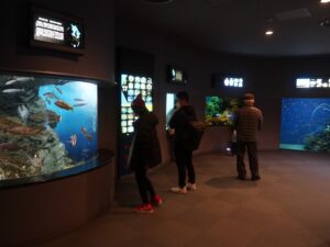 いおワールド かごしま水族館 4階 かごしまの海エリア