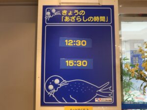 いおワールド かごしま水族館 きょうの「あざらしの時間」