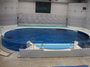 いおワールド かごしま水族館 1階 イルカプール