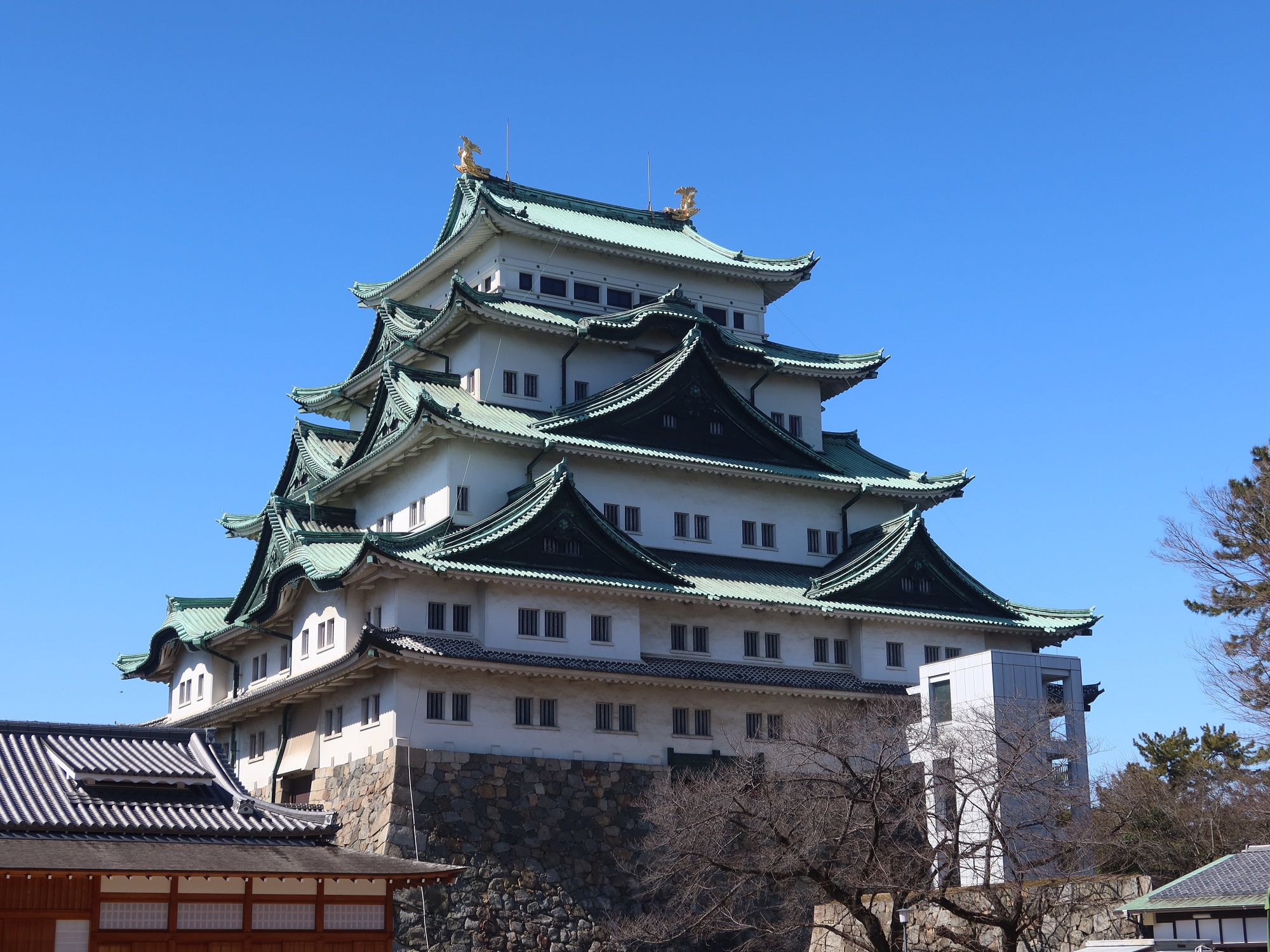 名古屋城 天守閣 本丸御殿付近から撮影