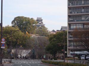 熊本城 天守閣 花畑公園付近から撮影