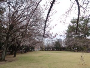 水前寺成趣園 水前寺公園