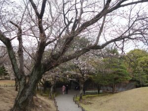 水前寺成趣園 水前寺公園