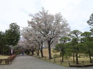 水前寺成趣園 水前寺公園