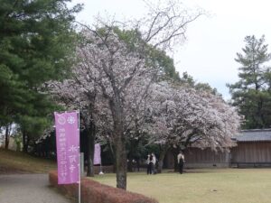 水前寺成趣園 水前寺公園