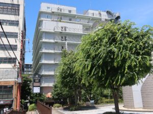 アパホテル 京都駅堀川通 京都駅側から撮影