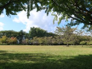 山形 霞城公園 山形城跡 桜の園
