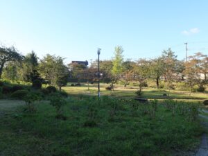 新庄城址 最上公園 あじさい園