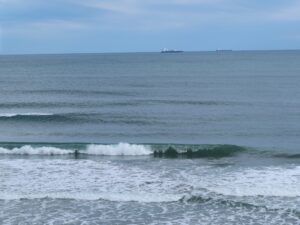 太平洋健康センター 勿来温泉 関の湯 3階お食事処から見える海