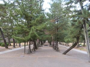 出雲大社 参道 晴れの日にリベンジしました