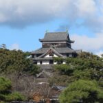 松江城 天守閣 島根県庁付近から撮影