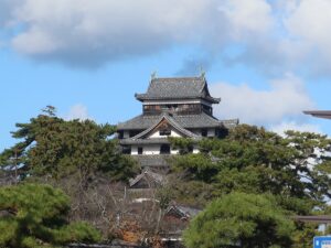 松江城 天守閣 島根県庁付近から撮影