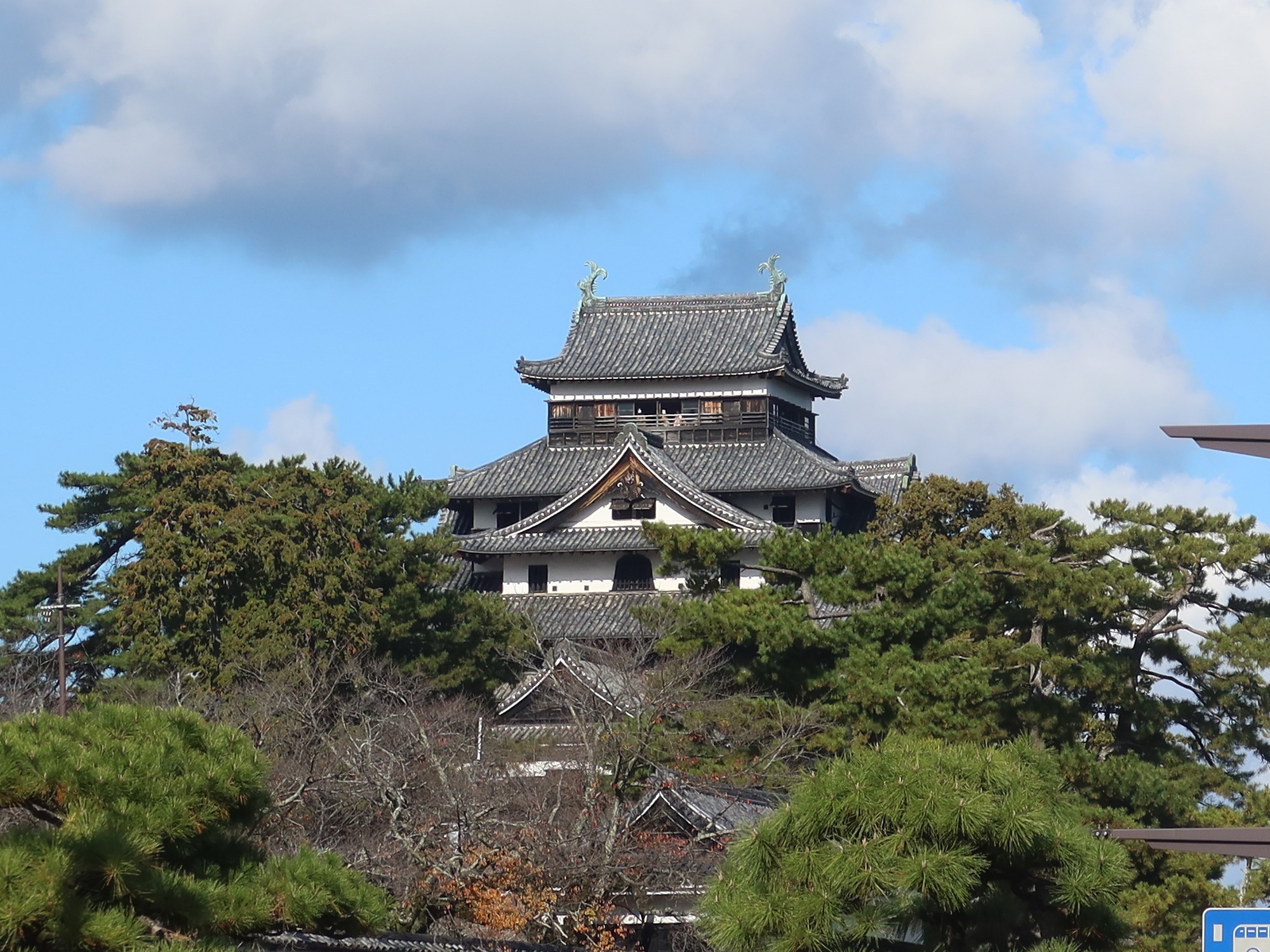 松江城 天守閣 島根県庁付近から撮影